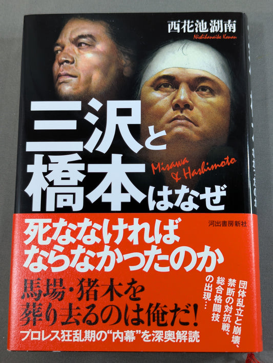 Why did Misawa and Hashimoto have to die?