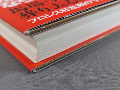 三沢と橋本はなぜ死ななければなかったのか