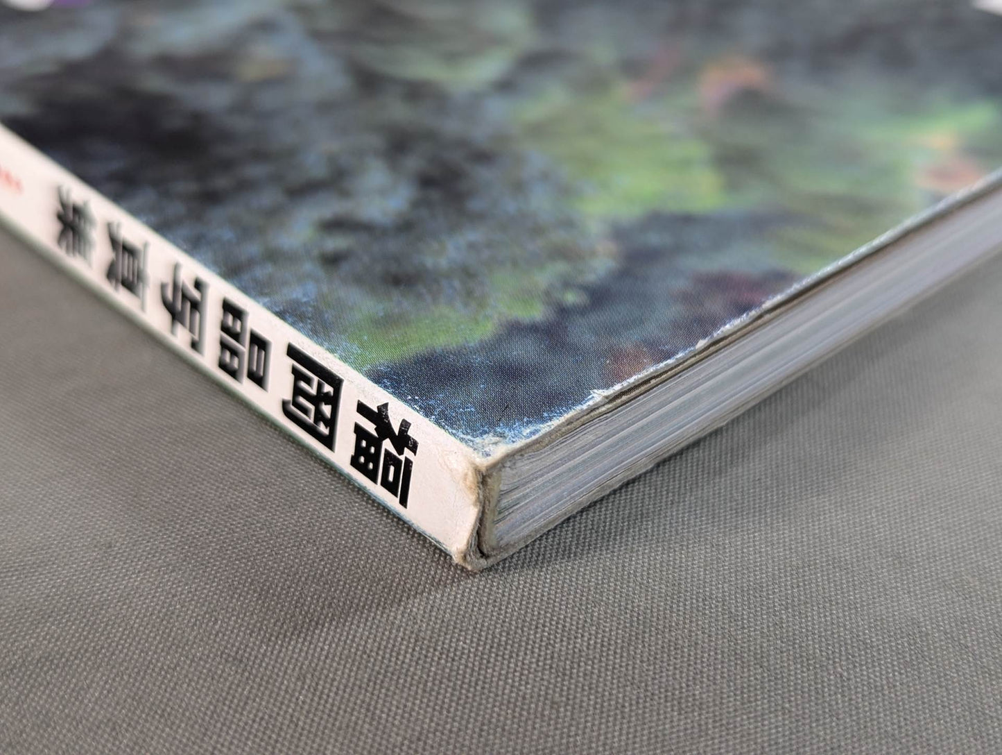 福岡晶 写真集 AGeLLe