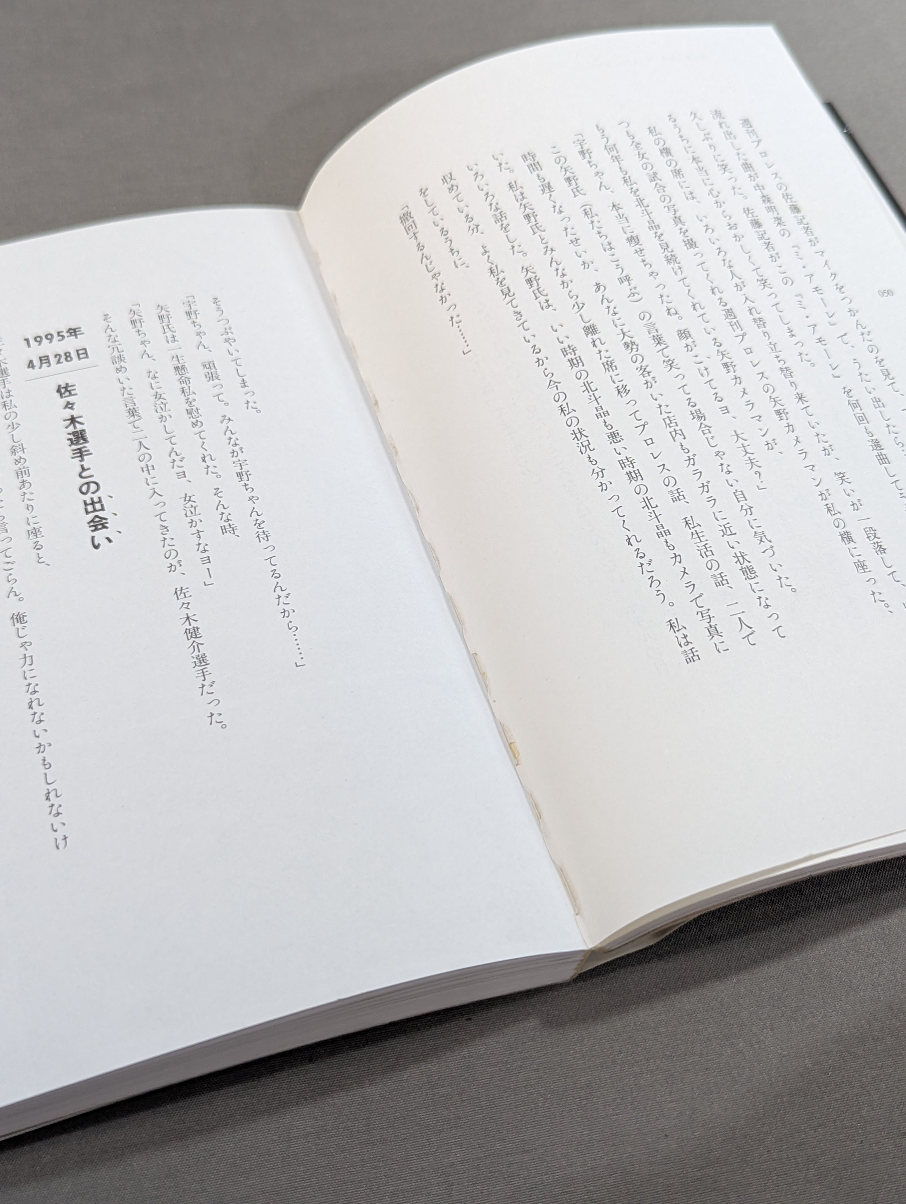 直筆サイン入り】北斗晶が嫌われる理由 – 闘道館