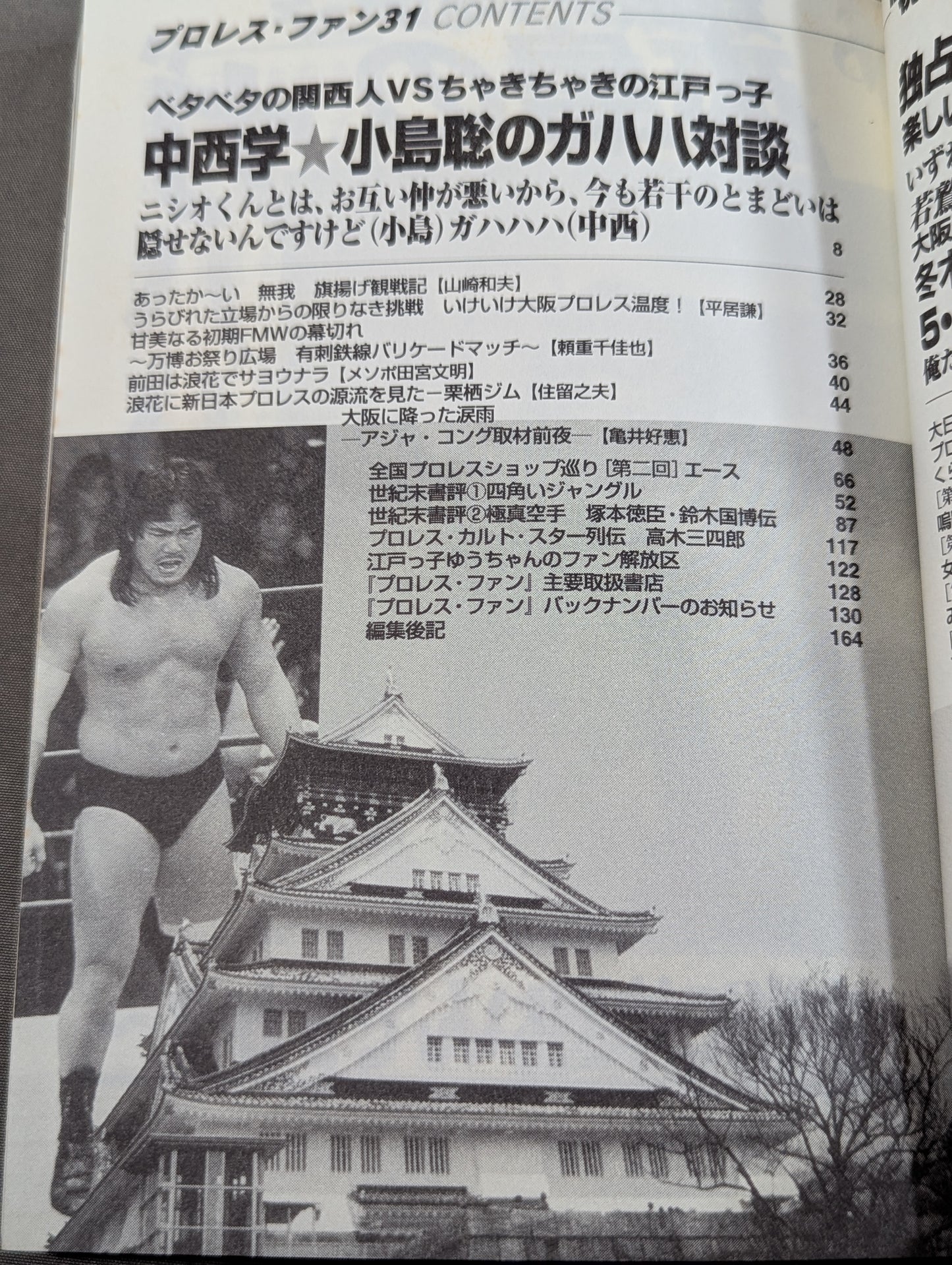 Pro Wrestling Fun 31