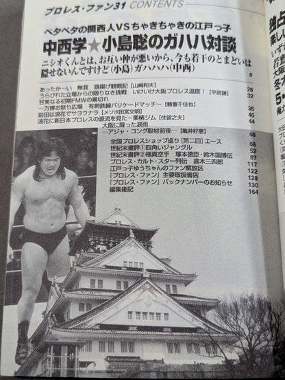 Pro Wrestling Fun 31