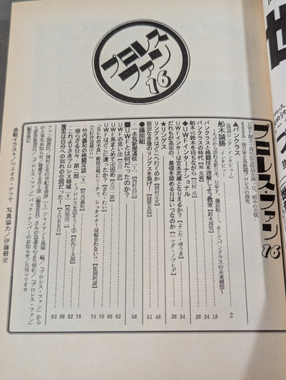 Pro Wrestling Fun 16