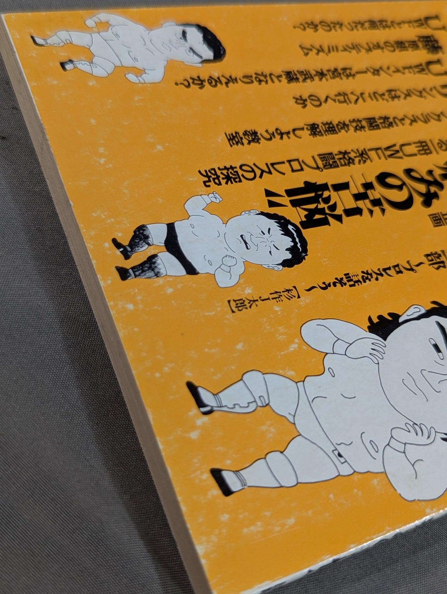 Pro Wrestling Fun 16
