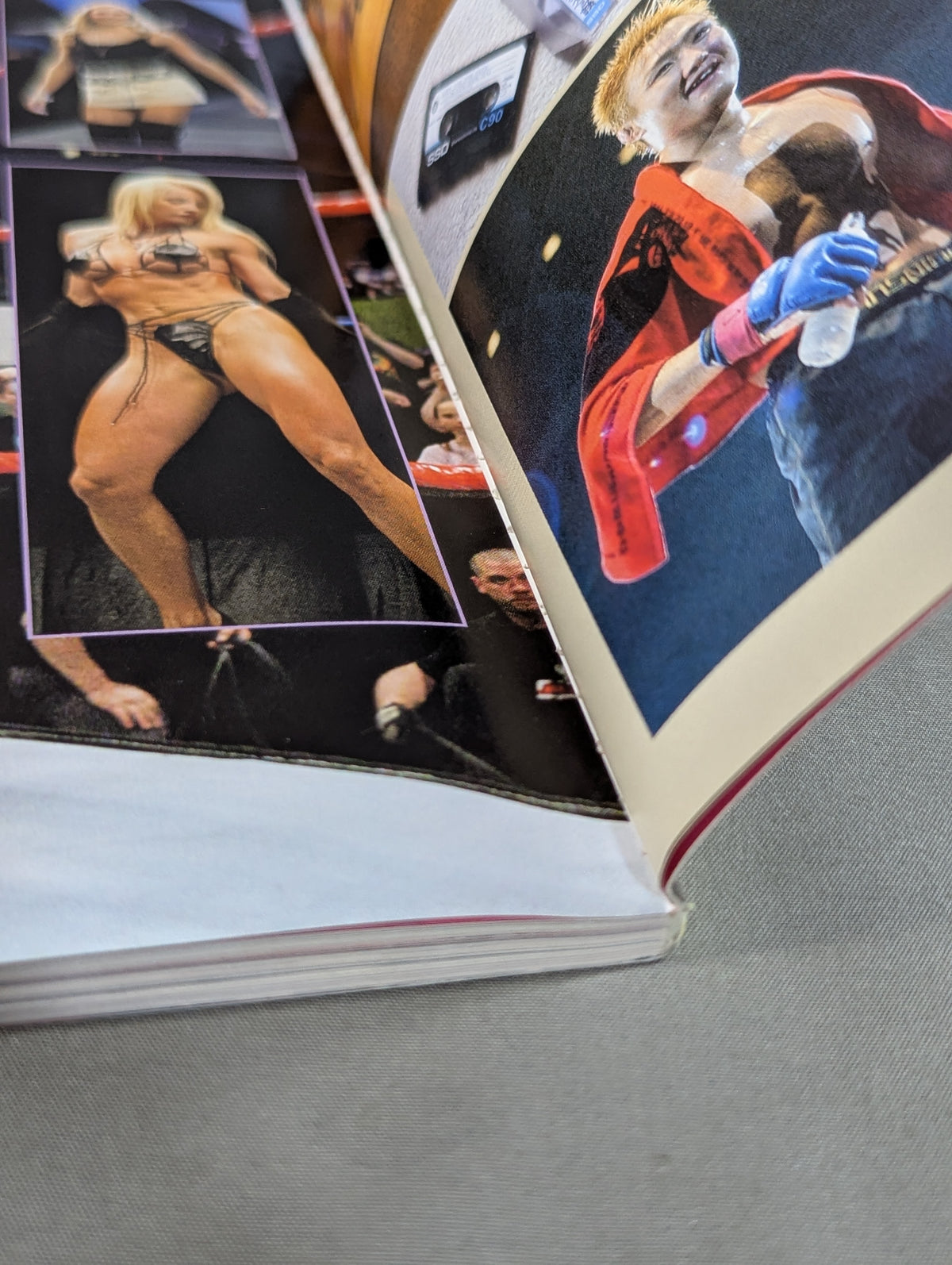 ［格闘技＆プロレス］ プロレス復興計画 PLUS迷宮Xファイル EXTRA