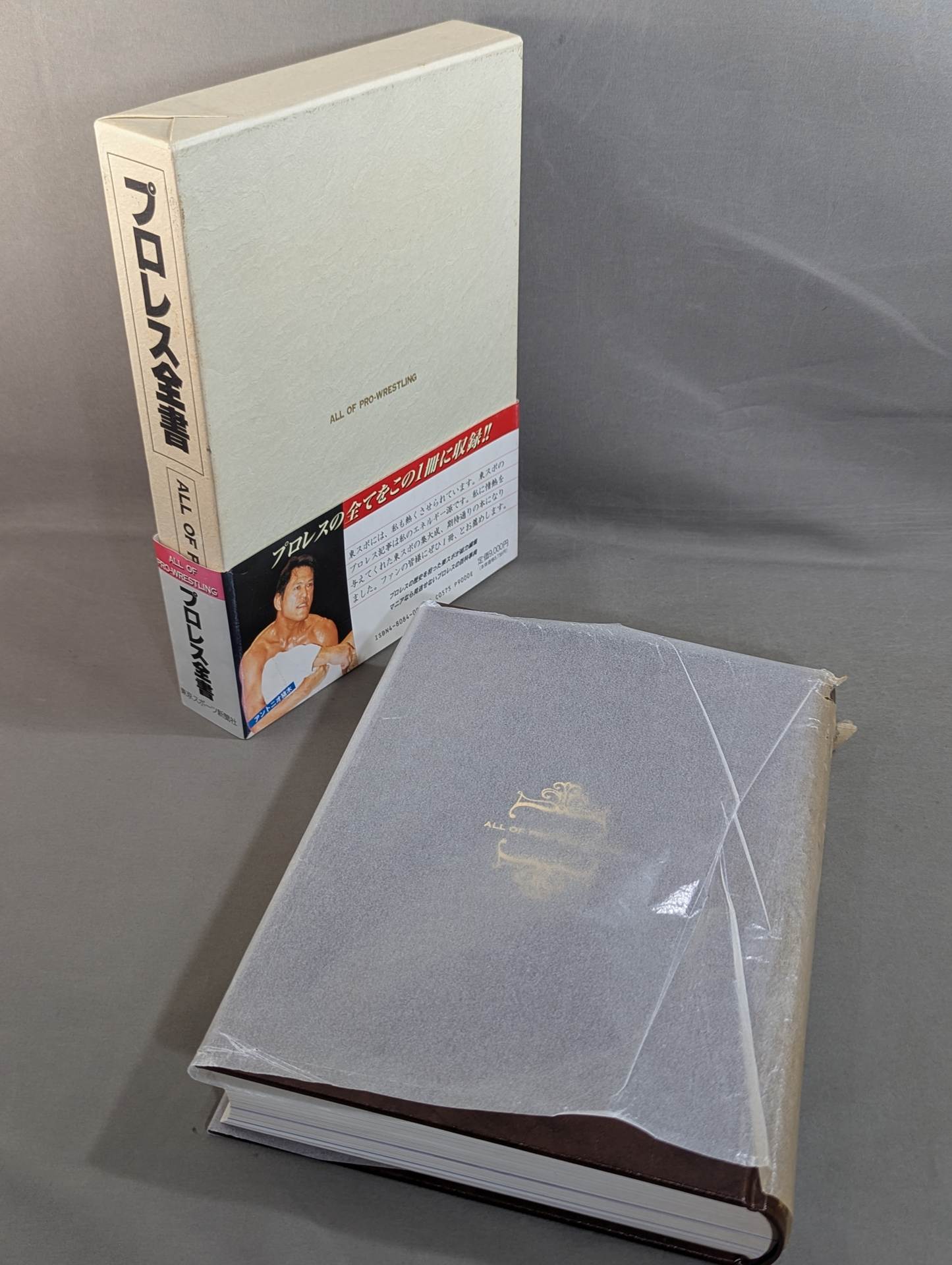 Pro Wrestling  ALL OF PRO- Wrestling 