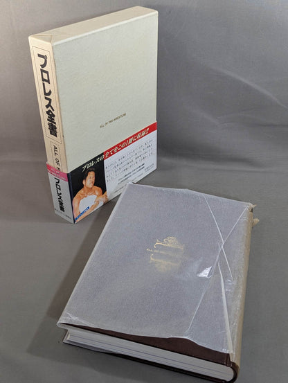 Pro Wrestling  ALL OF PRO- Wrestling 