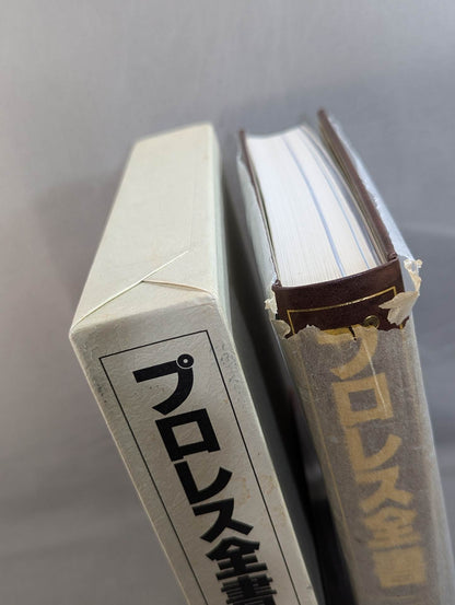 Pro Wrestling  ALL OF PRO- Wrestling 