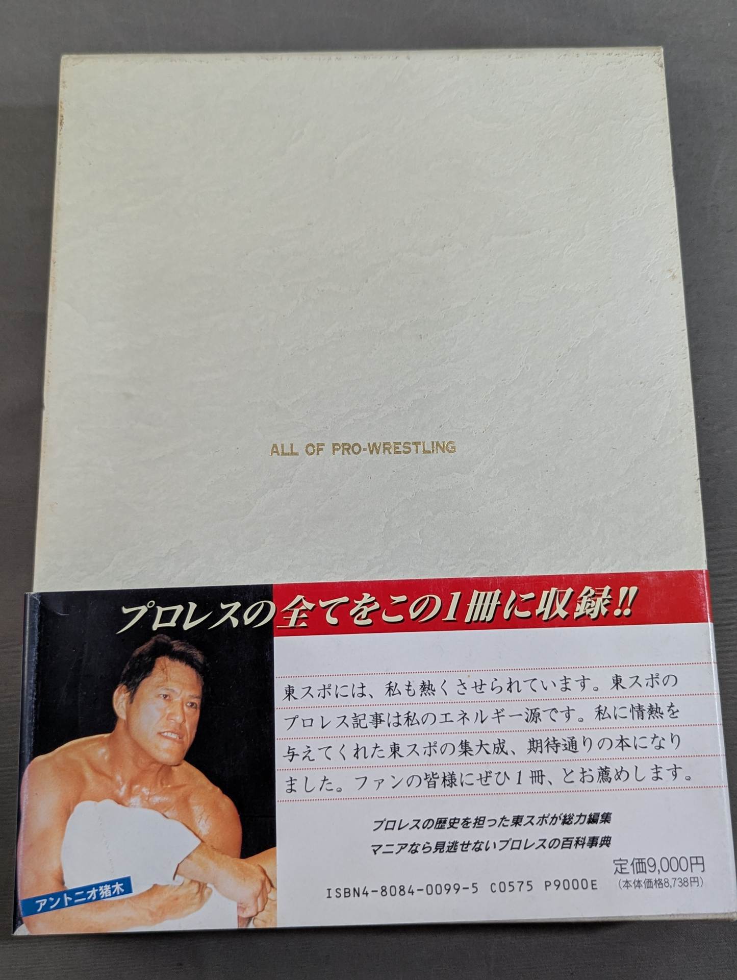 Pro Wrestling  ALL OF PRO- Wrestling 