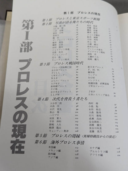 Pro Wrestling  ALL OF PRO- Wrestling 