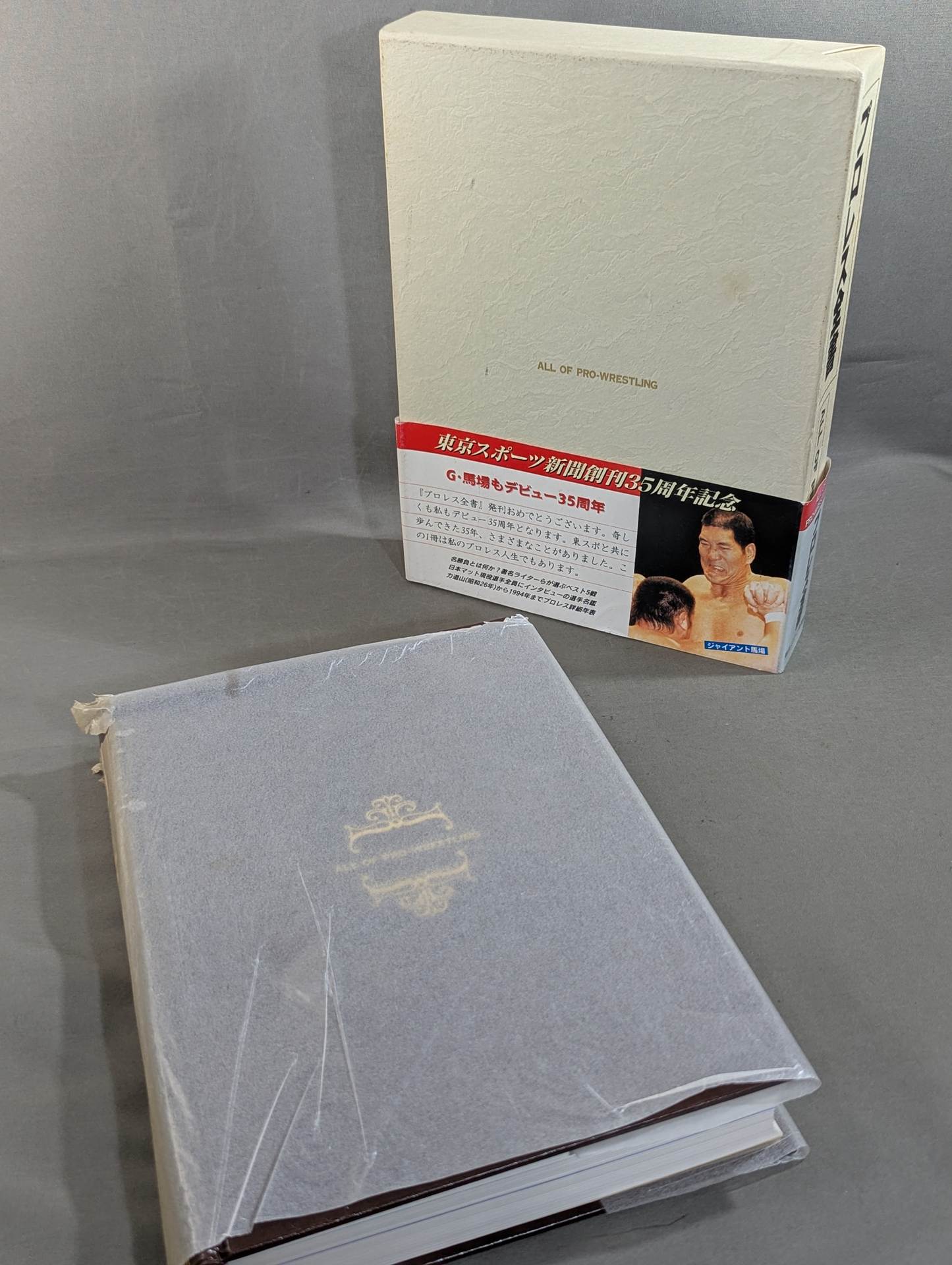 Pro Wrestling  ALL OF PRO- Wrestling 