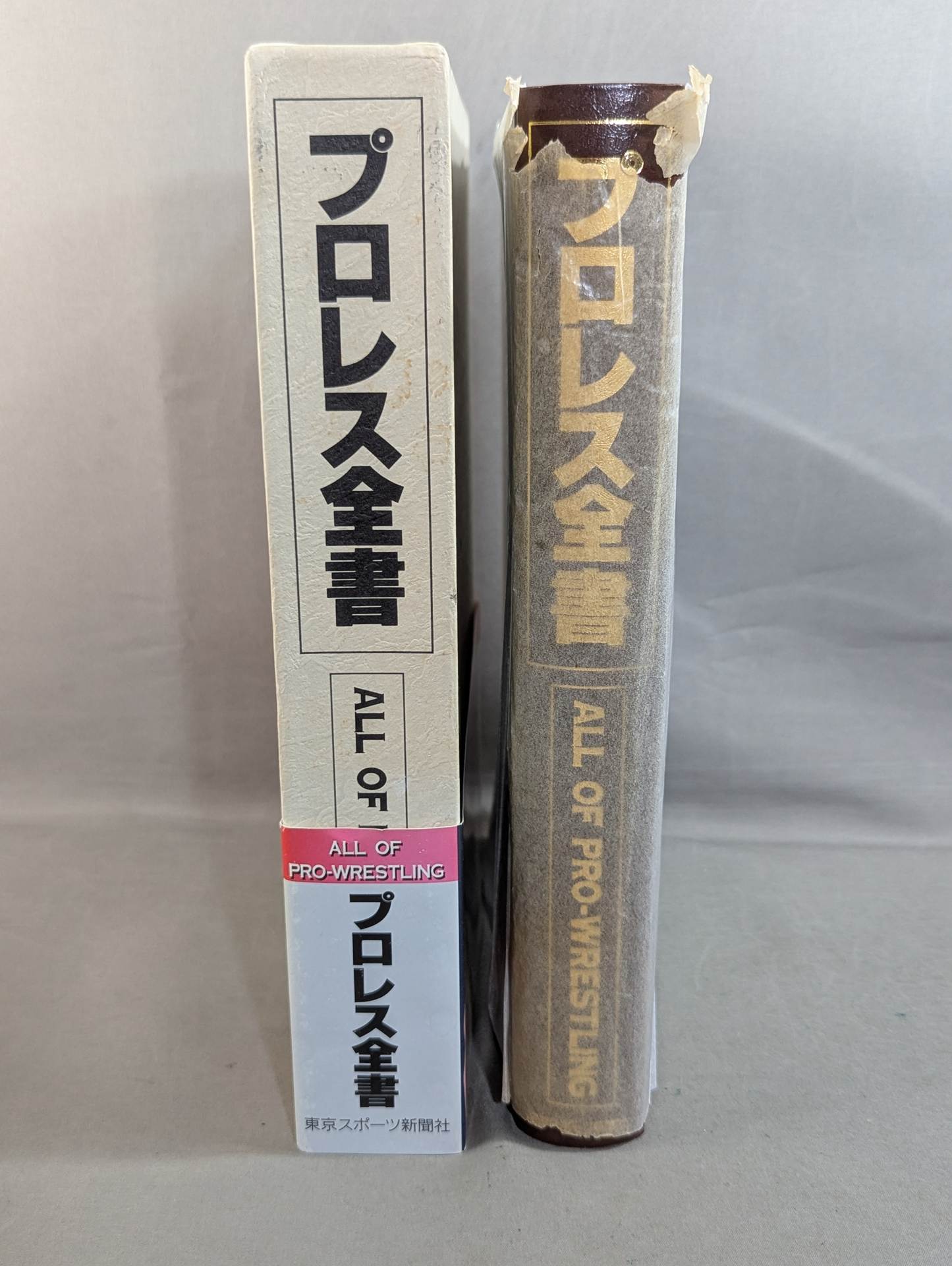 プロレス全書 プロレス全書 ALL OF PRO－WRESTLING – 闘道館