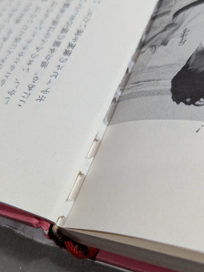 Our KARATE makes recommendations to Japan The alarm bell of the commander-in-chief who stands at the top of 12 million people!