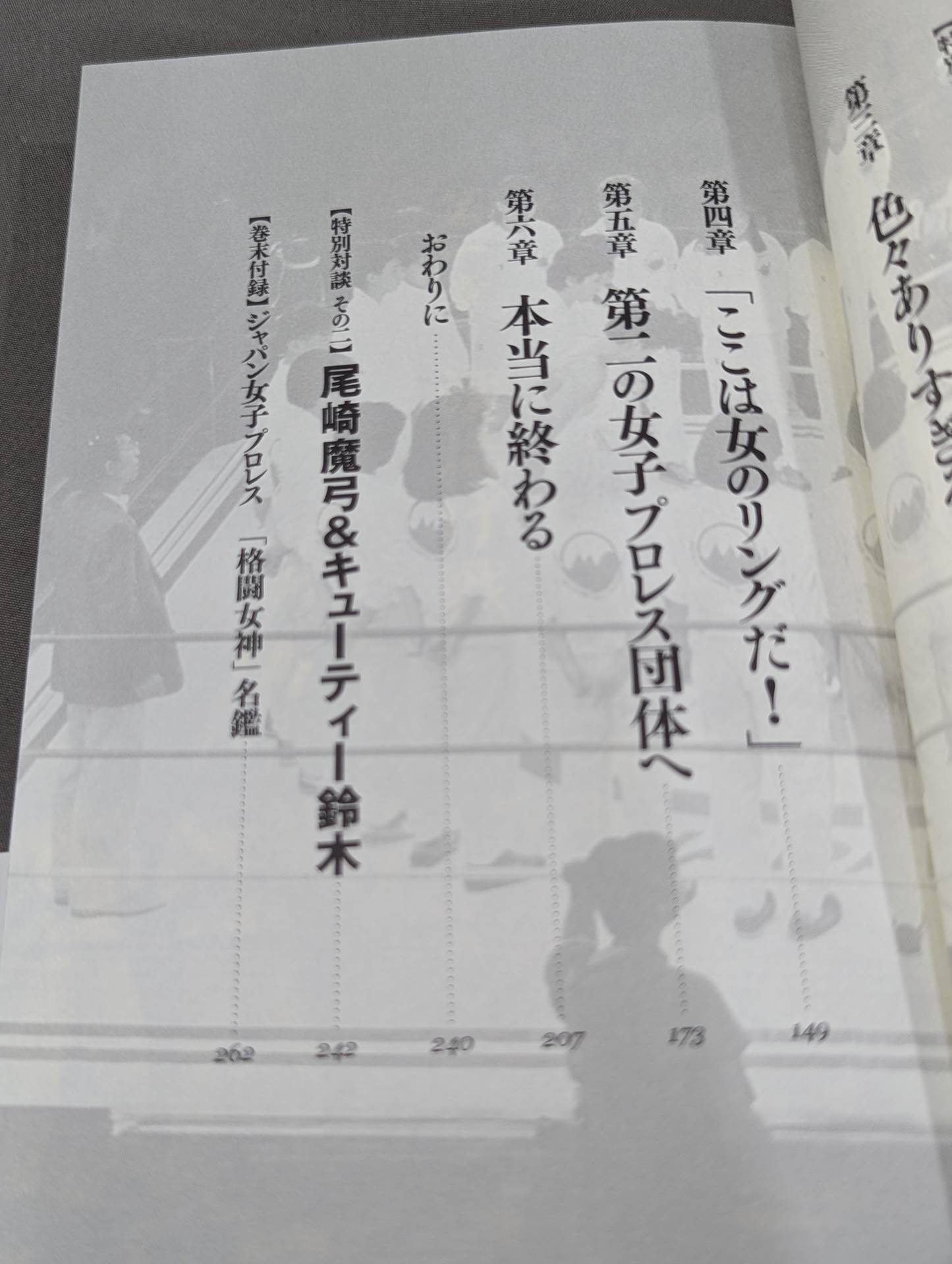 [実録]ジャパン女子プロレス