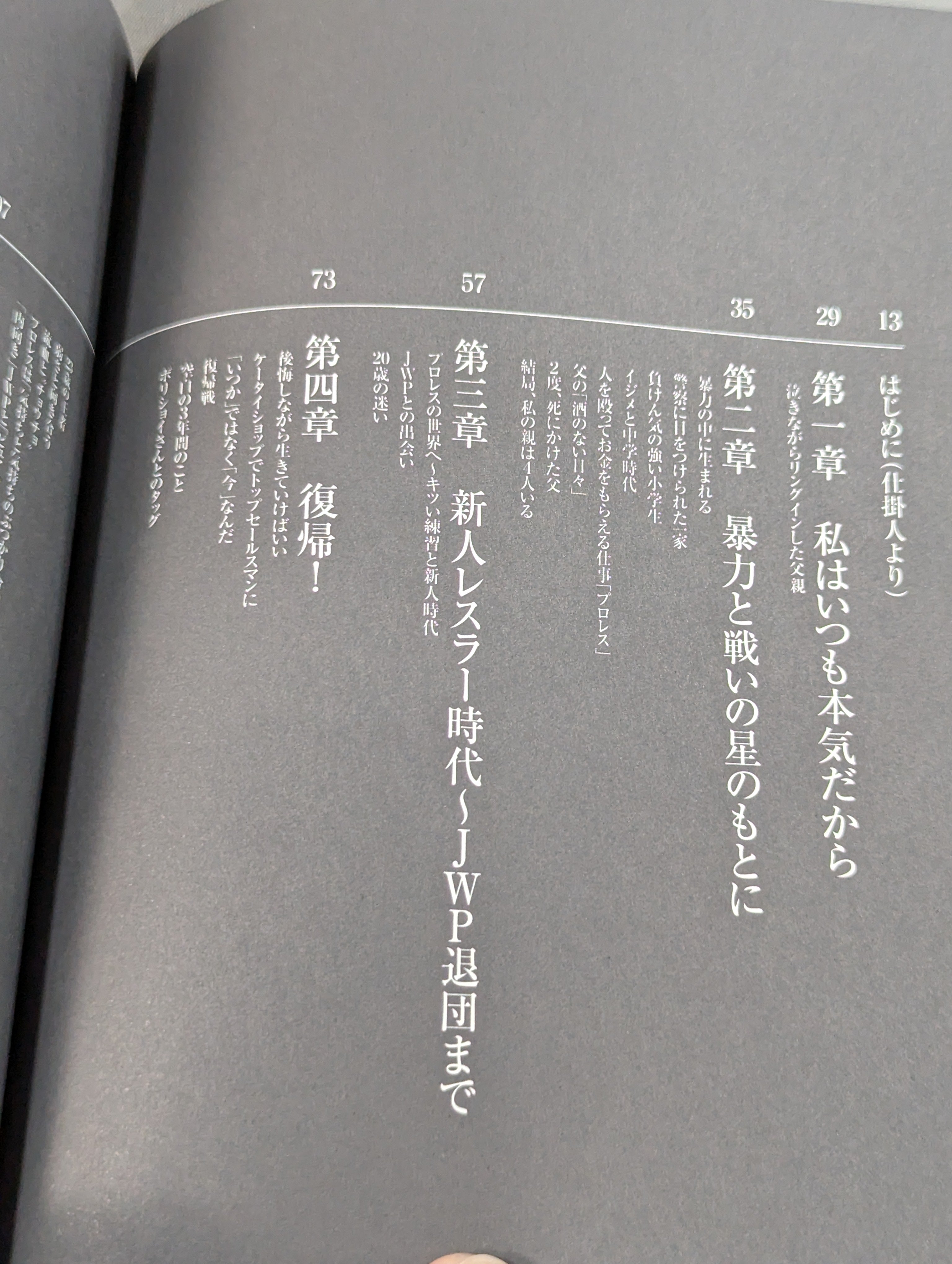 直筆サイン入り】中島安里紗のこれが私の戦い方。 – 闘道館
