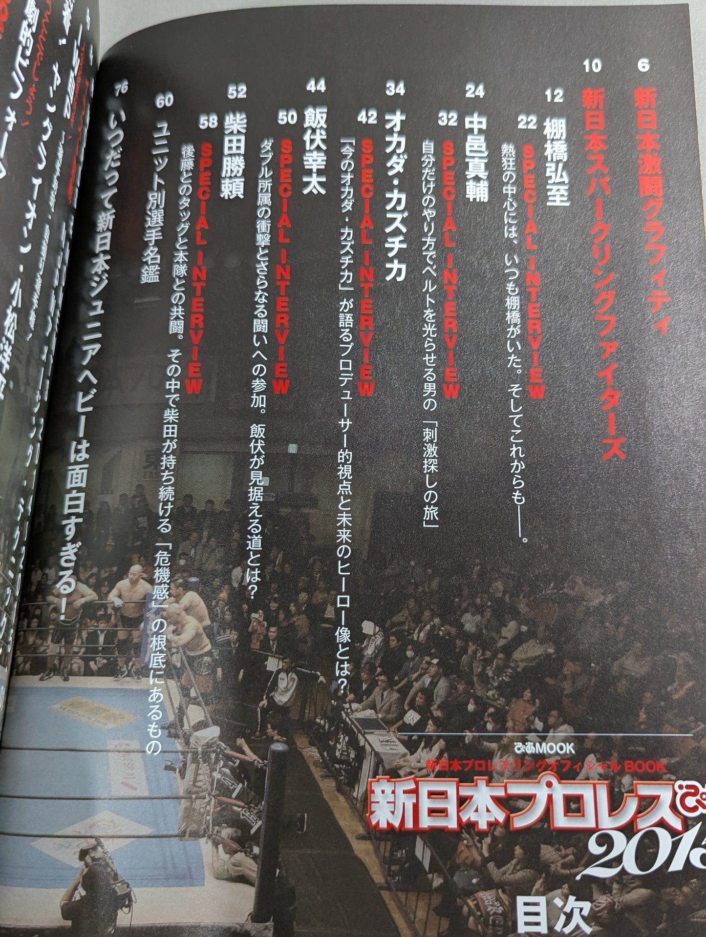 New Japan Pro Wrestling Pia 2015