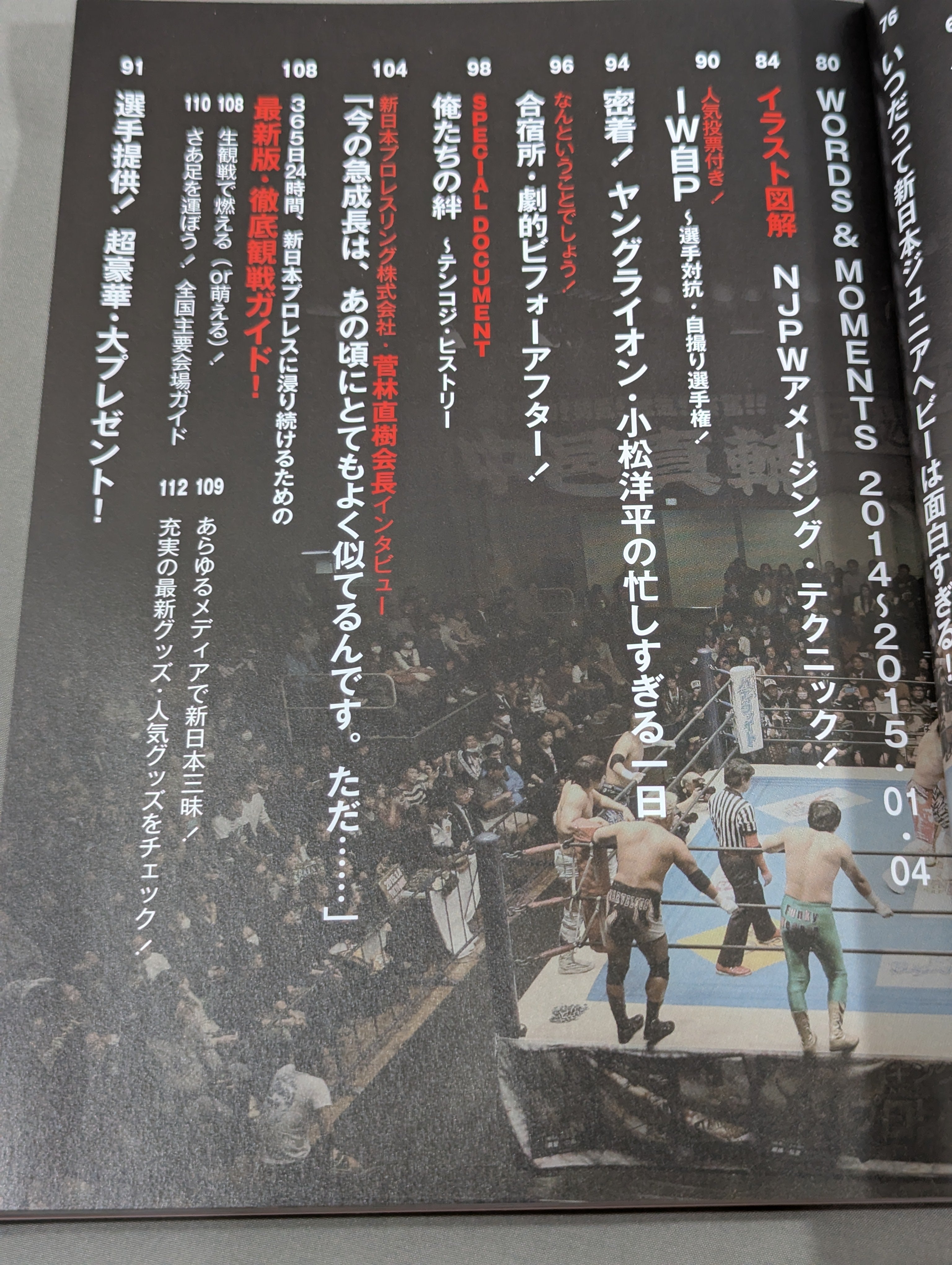 新日本プロレスぴあ2015 – 闘道館