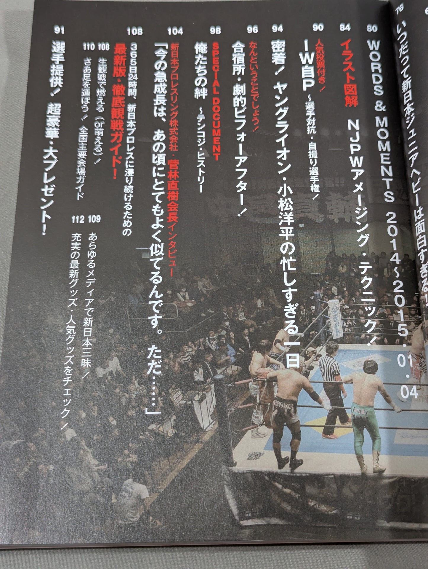 New Japan Pro Wrestling Pia 2015