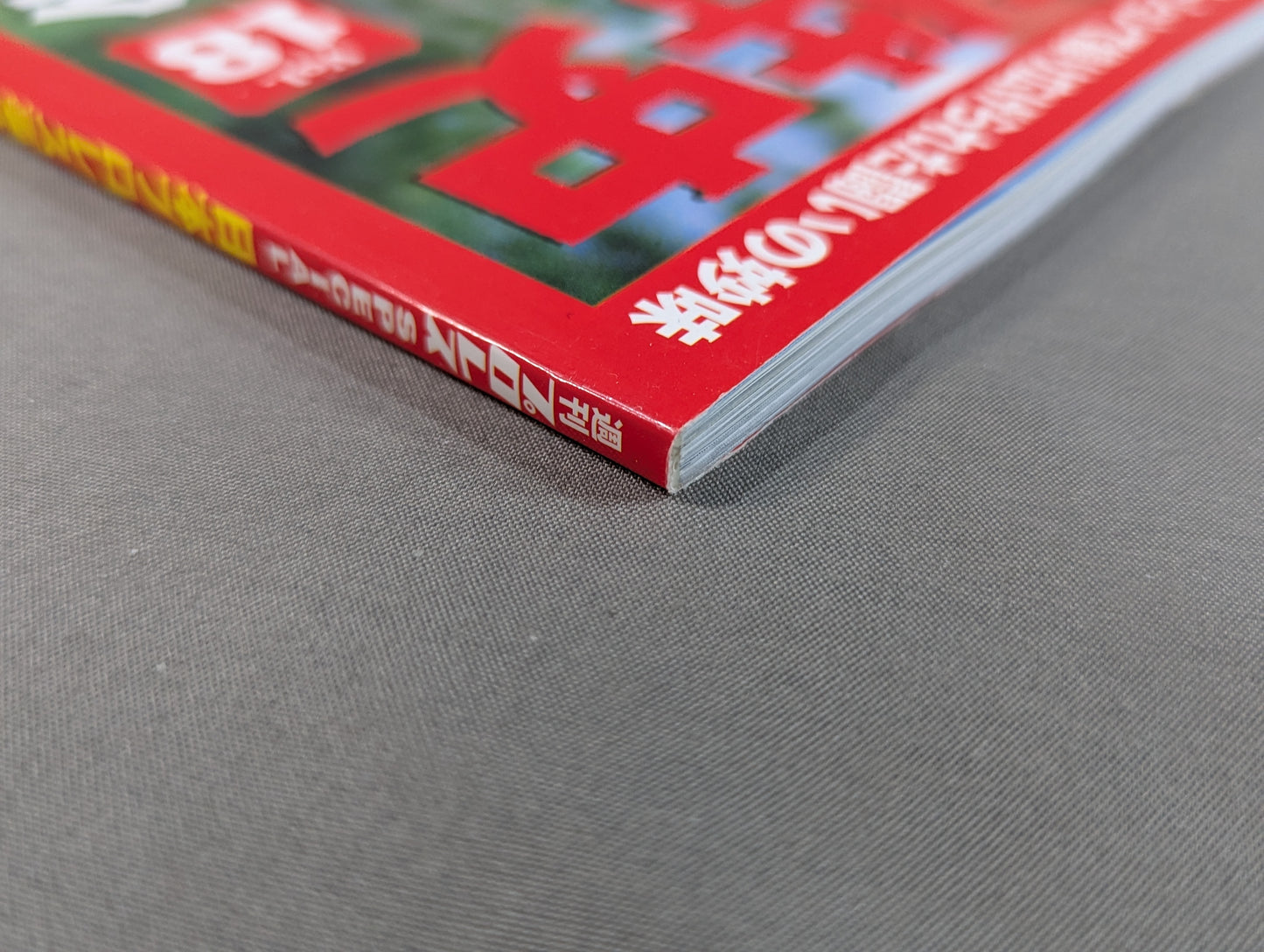 日本プロレス事件史 Vol.18 会場・戦場・血闘場