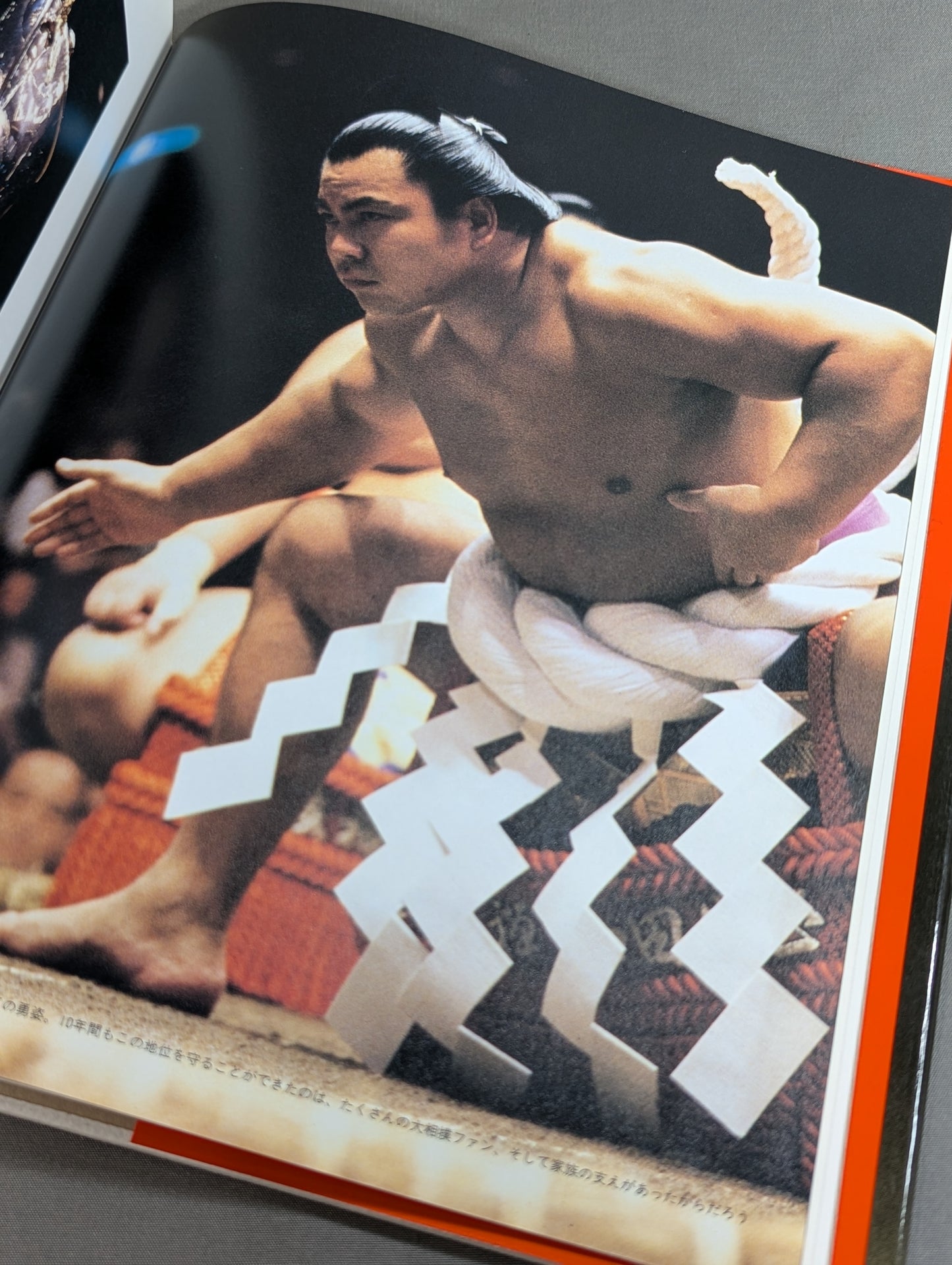 Indomitable The road to 1045 victories