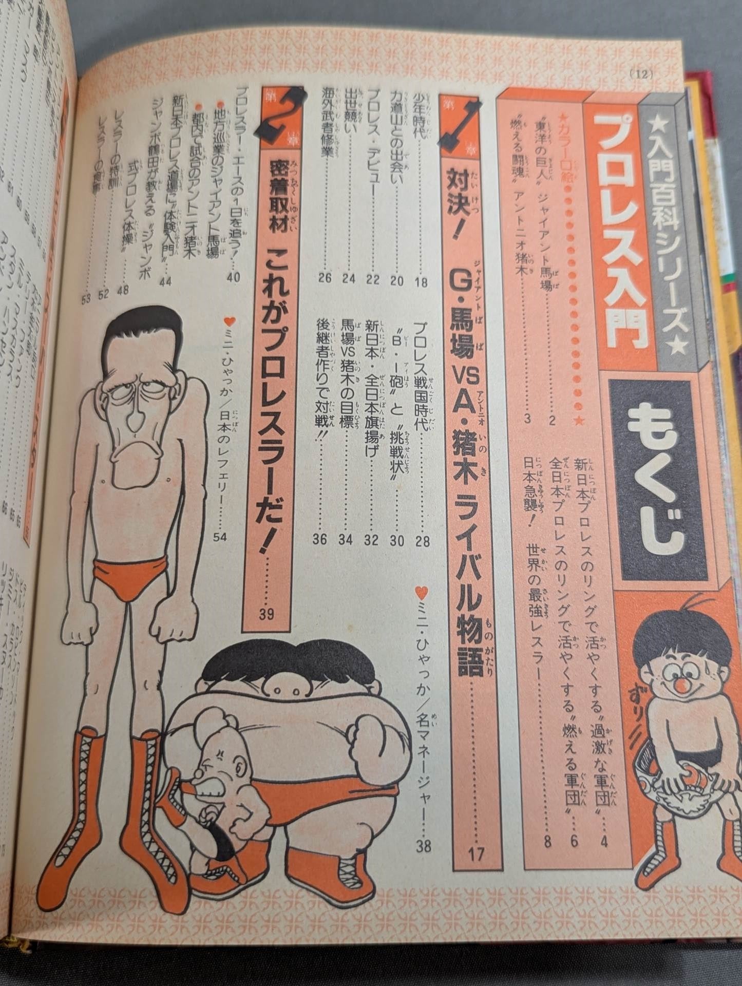 Pro Wrestling  Introduction Shogakukan Introductory Encyclopedia Series (9) (Revised Edition)