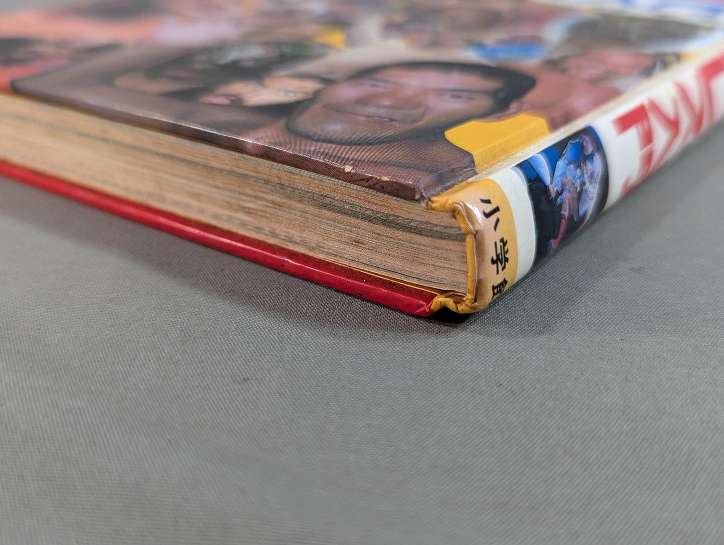 Pro Wrestling  Introduction Shogakukan Introductory Encyclopedia Series (9) (Revised Edition)