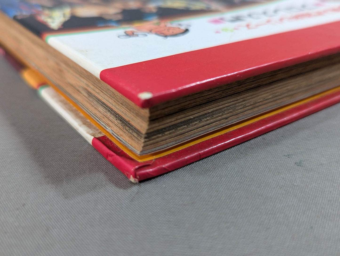 Pro Wrestling  Introduction Shogakukan Introductory Encyclopedia Series (9) (Revised Edition)