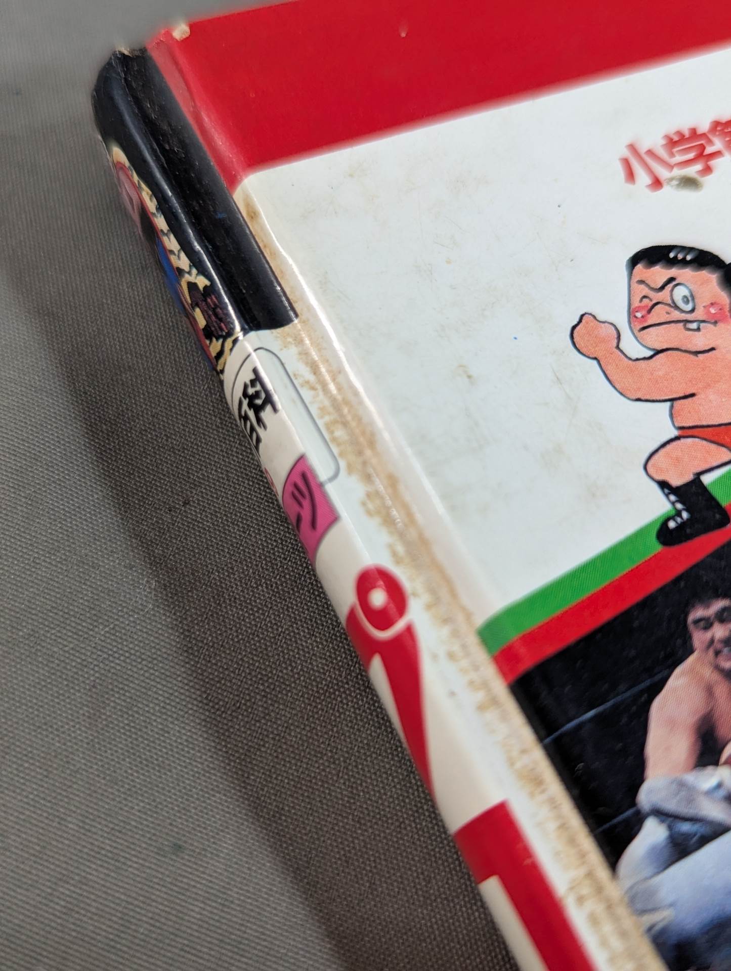 Pro Wrestling  Introduction Shogakukan Introductory Encyclopedia Series (9) (Revised Edition)