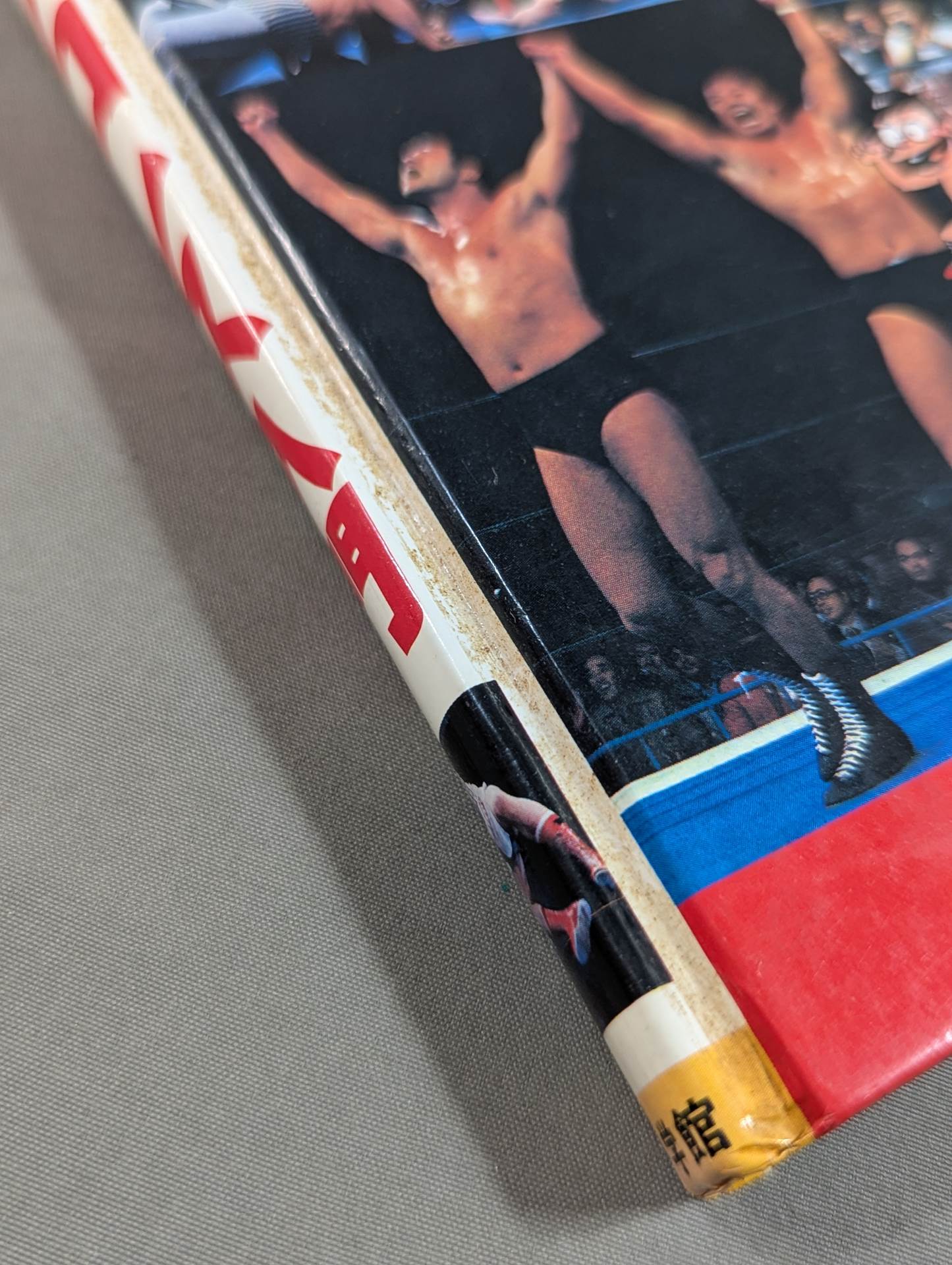 Pro Wrestling  Introduction Shogakukan Introductory Encyclopedia Series (9) (Revised Edition)