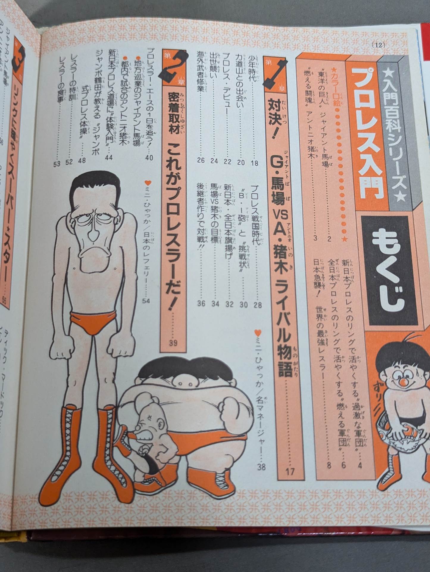 プロレス入門 小学館入門百科シリーズ⑨(改訂版)