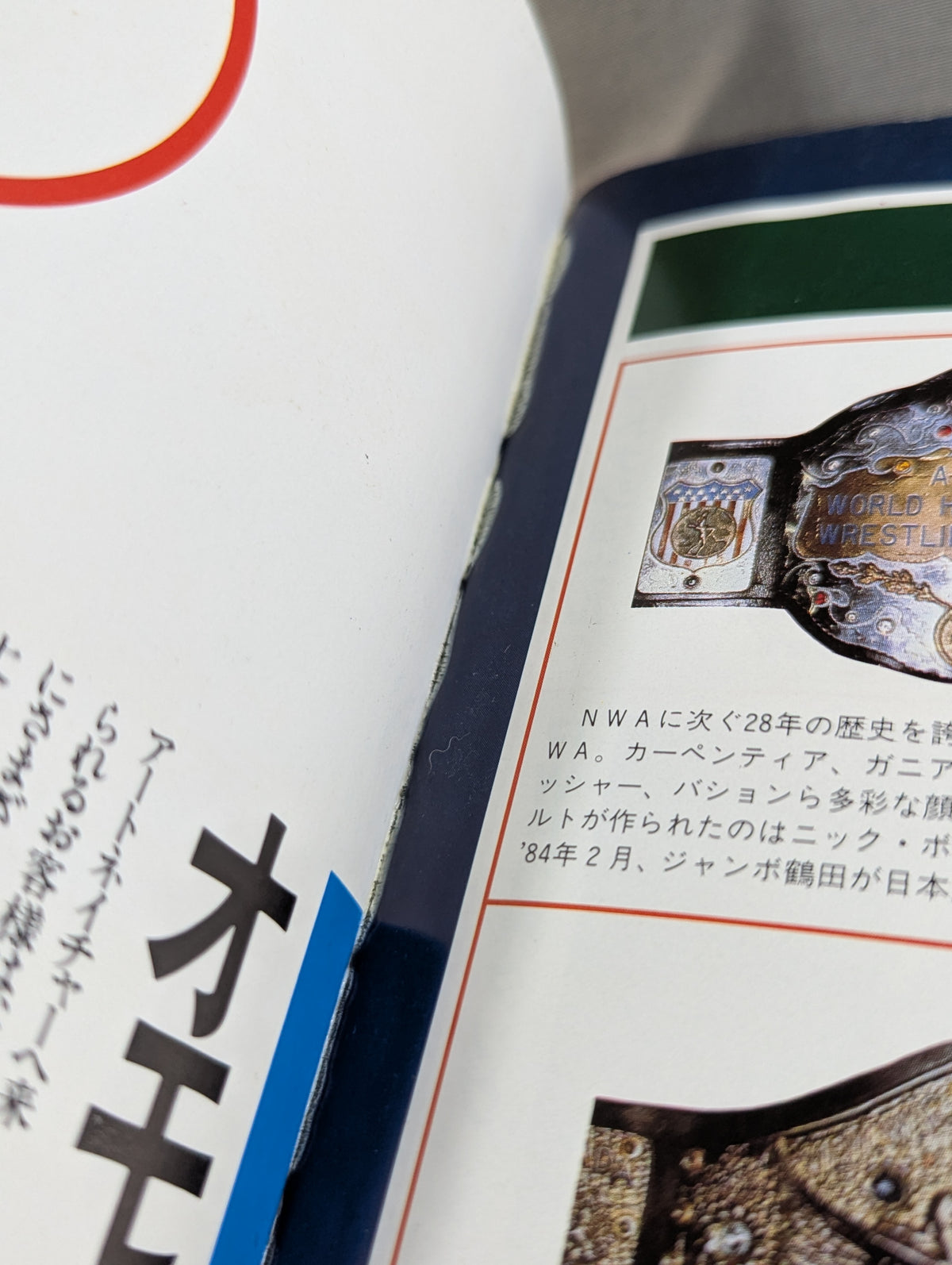 1945～1985激動のスポーツ40年史⑥ プロレス 秘蔵写真で綴る激動史