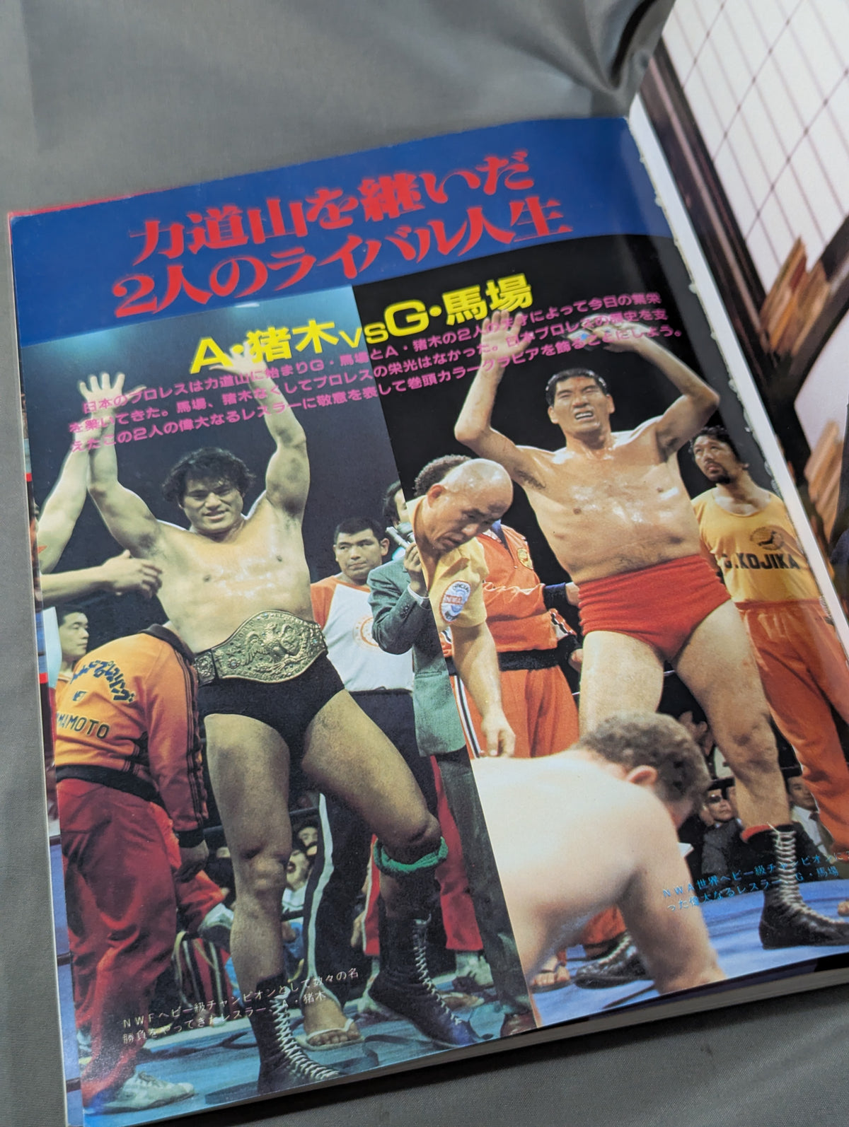 1945～1985激動のスポーツ40年史⑥ プロレス 秘蔵写真で綴る激動史