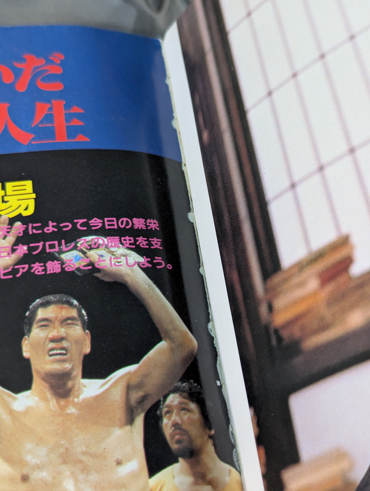 1945～1985激動のスポーツ40年史⑥ プロレス 秘蔵写真で綴る激動史