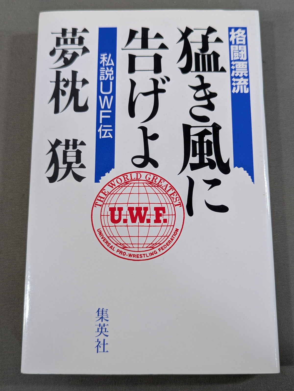 Fighting Drift and Tell the Fierce Wind -Private UWF Biography-