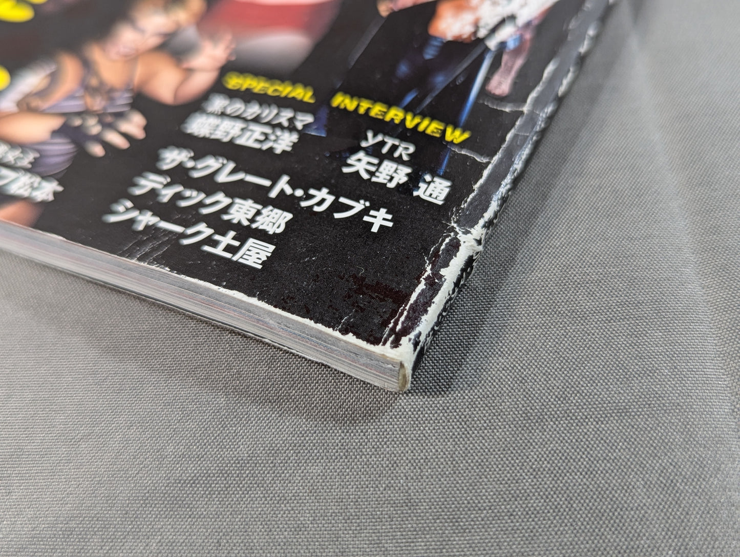 Pro Wrestling  Villain Retsuden The Worst Evil! The Most Terrifying! A large gathering of heel wrestlers who have done their best to do their best!