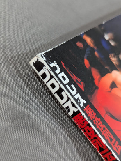 Pro Wrestling  Villain Retsuden The Worst Evil! The Most Terrifying! A large gathering of heel wrestlers who have done their best to do their best!