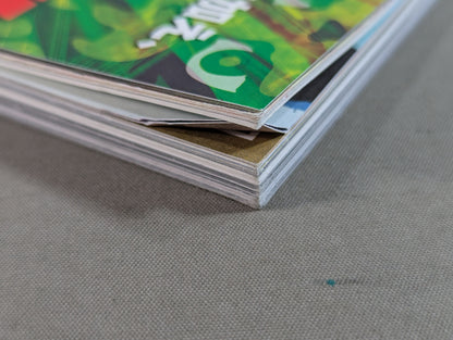 【オカダ・カズチカ 直筆サイン入り】新日本プロレスぴあ2016