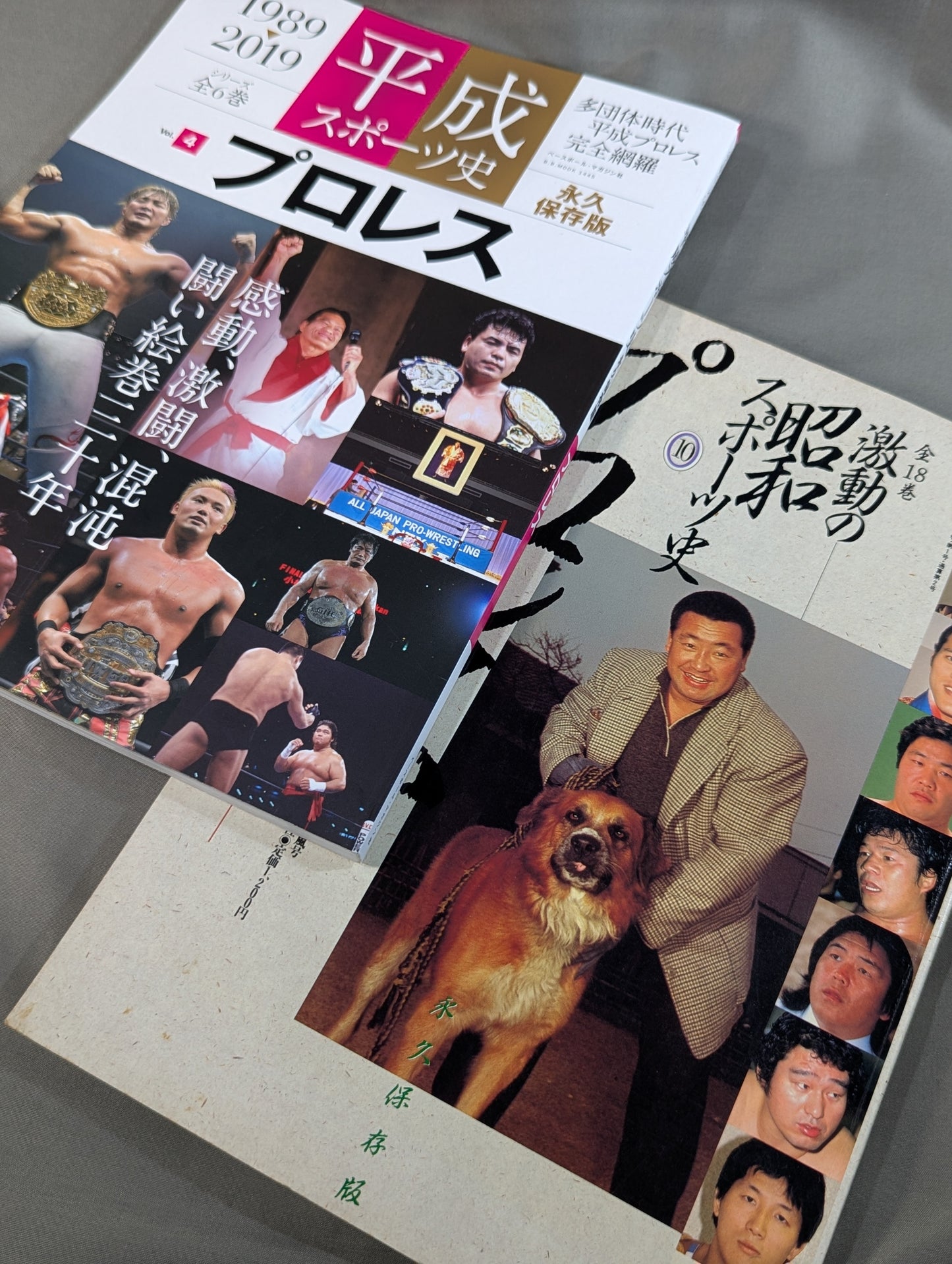 [Showa & Heisei 2-Book Set] The Turbulent History of Showa Sports [Pro Wrestling] & Heisei Sports History Permanent Preservation Edition Pro Wrestling Edition