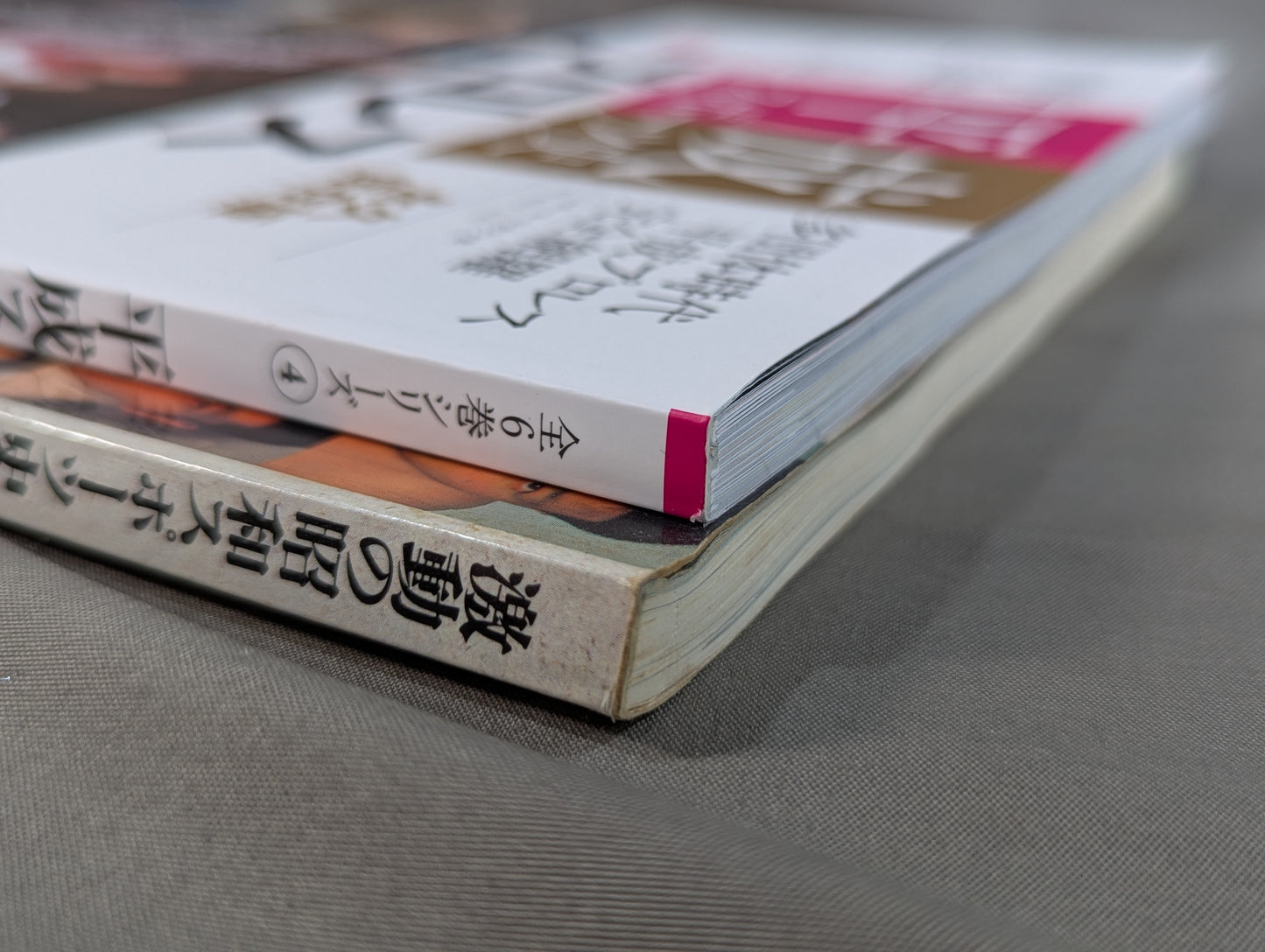 [Showa & Heisei 2-Book Set] The Turbulent History of Showa Sports [Pro Wrestling] & Heisei Sports History Permanent Preservation Edition Pro Wrestling Edition