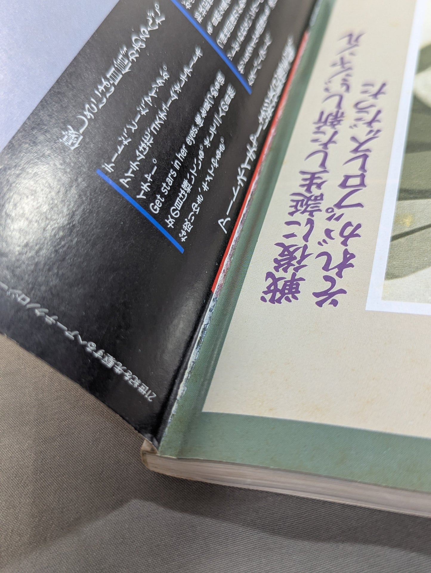[Showa & Heisei 2-Book Set] The Turbulent History of Showa Sports [Pro Wrestling] & Heisei Sports History Permanent Preservation Edition Pro Wrestling Edition