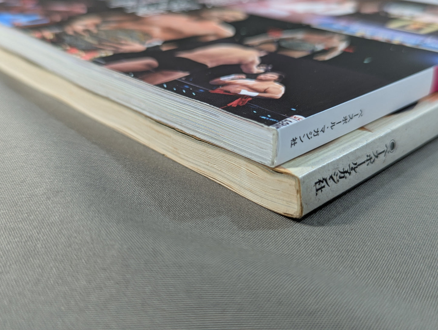 [Showa & Heisei 2-Book Set] The Turbulent History of Showa Sports [Pro Wrestling] & Heisei Sports History Permanent Preservation Edition Pro Wrestling Edition