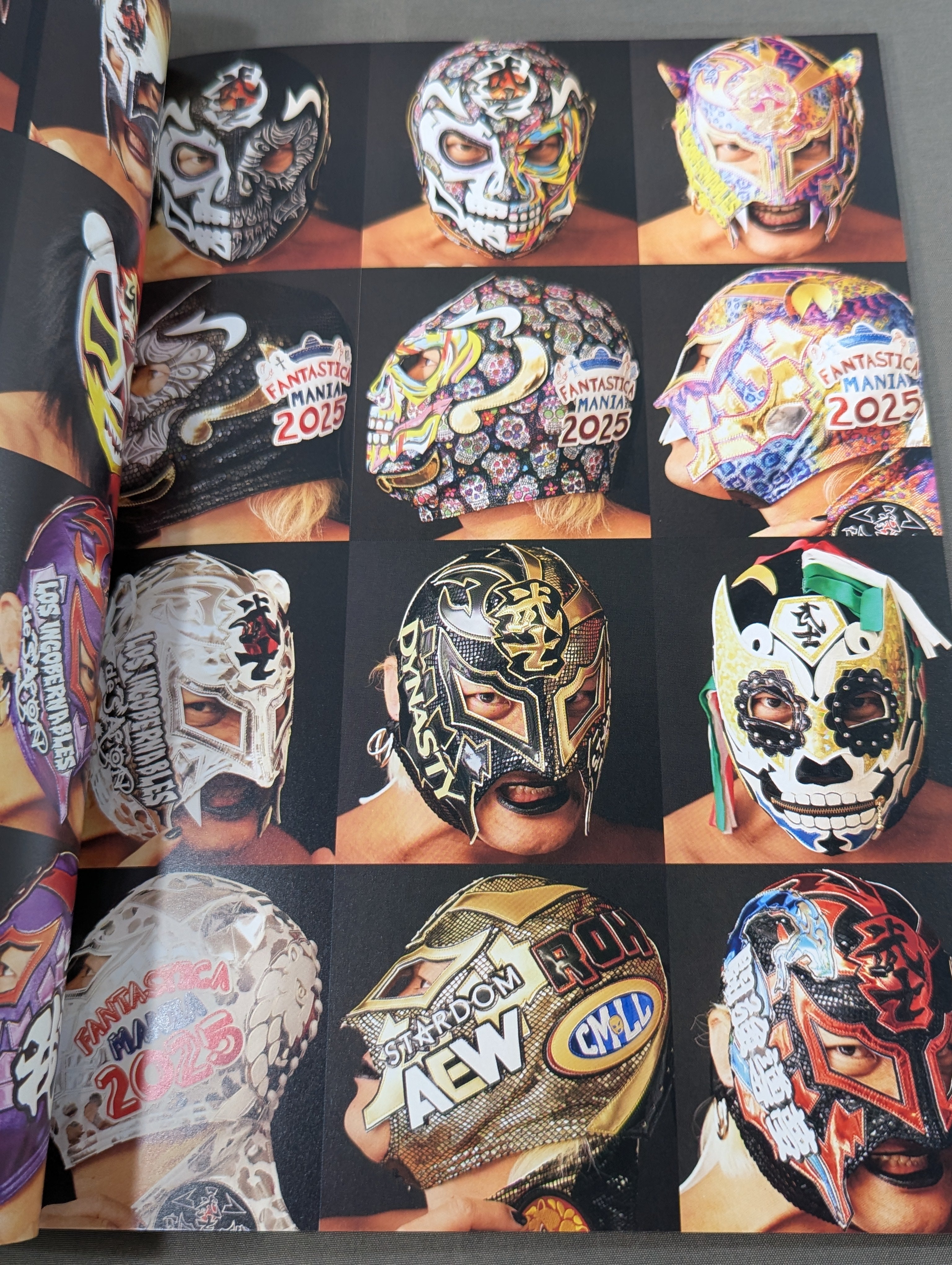 BUSHI 直筆サイン入り】FOTOLIBRE de Mascaras Numero.79 – 闘道館