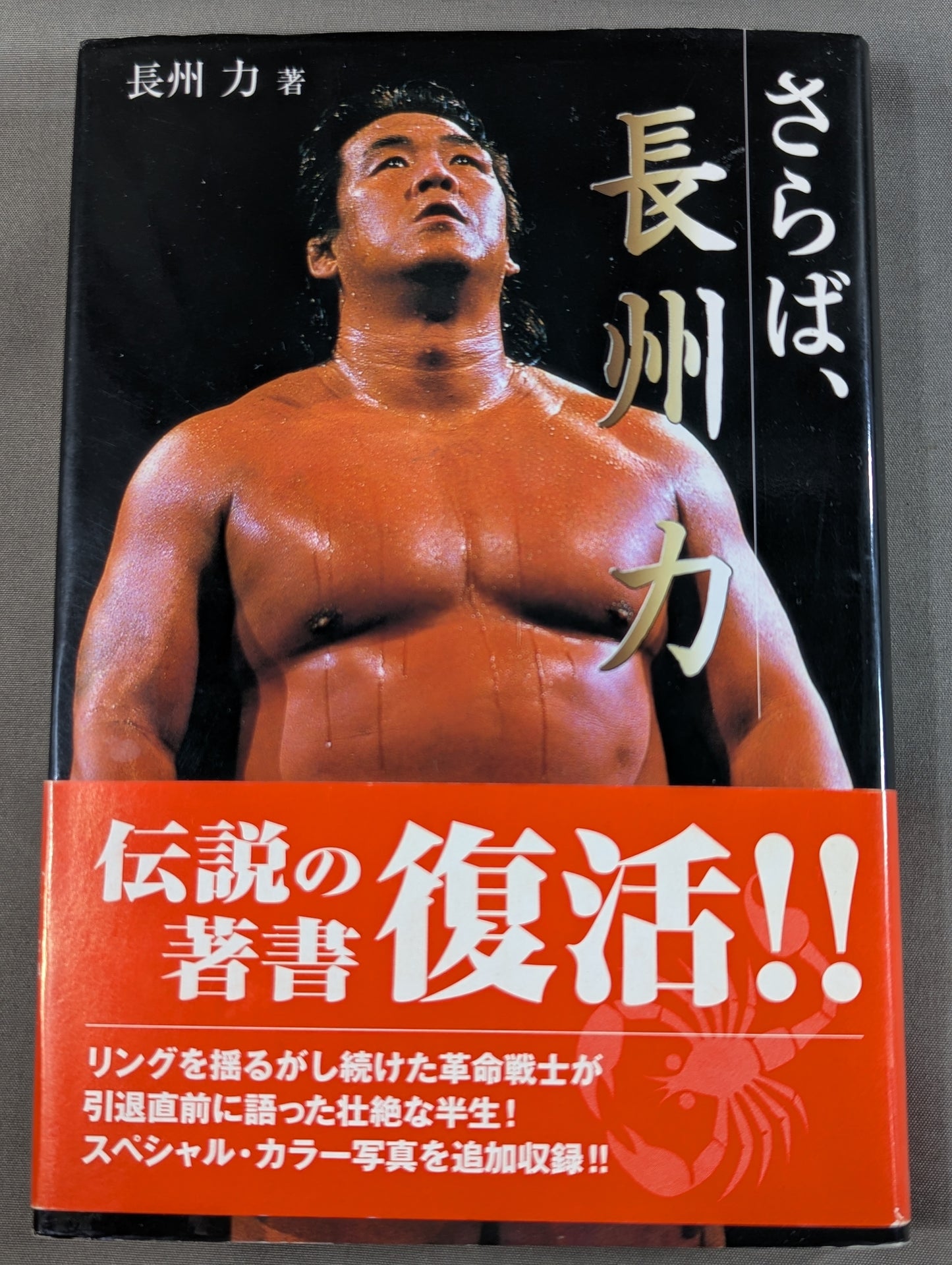 [Reprint Edition] Farewell, Riki Choshu