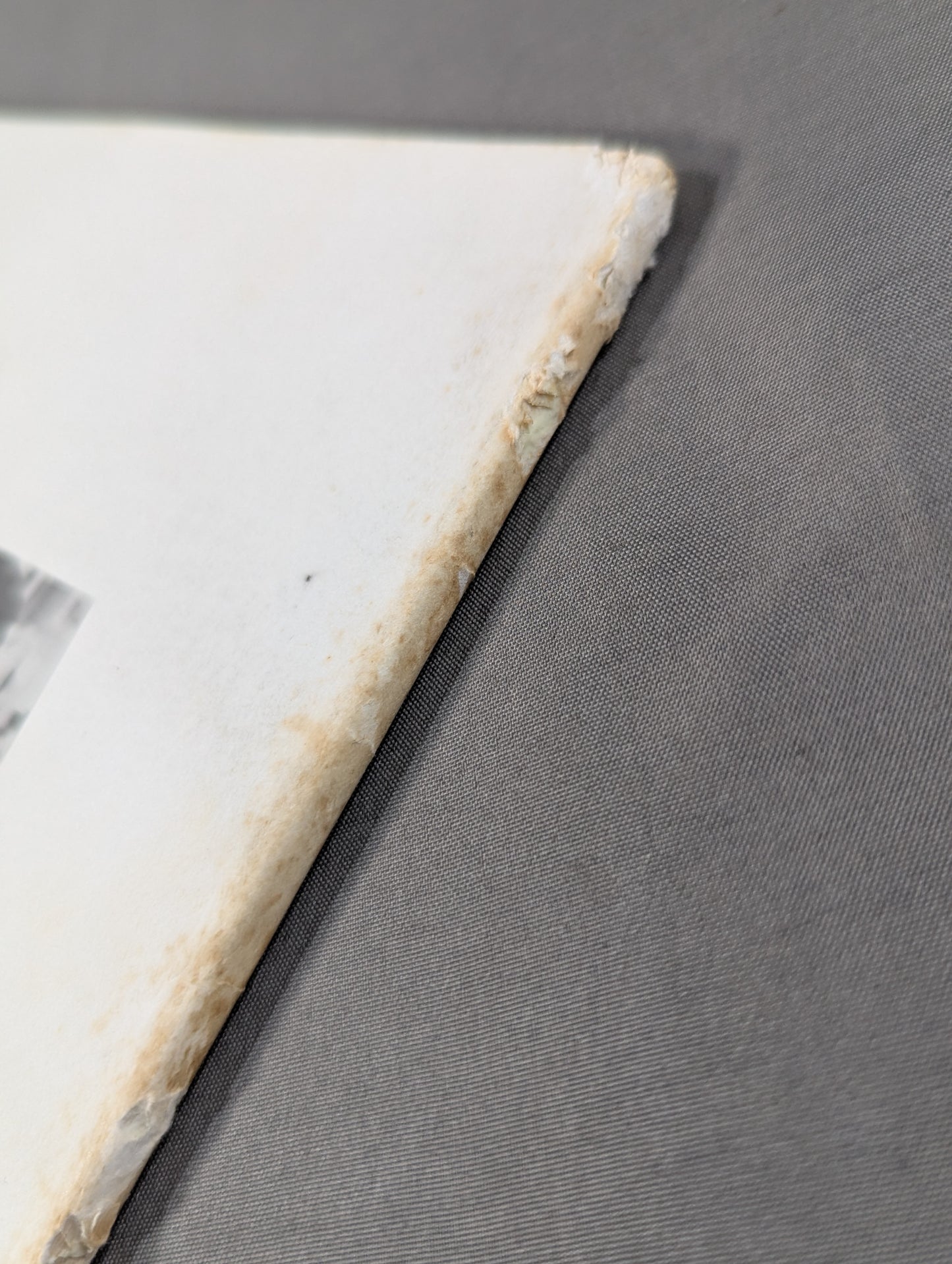 ★ Antonio Inoki  Fan Club Newsletter ★ BIG Fighting Spirit No.19