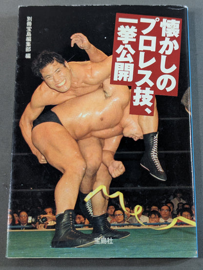 Nostalgic Pro Wrestling techniques are released all at once