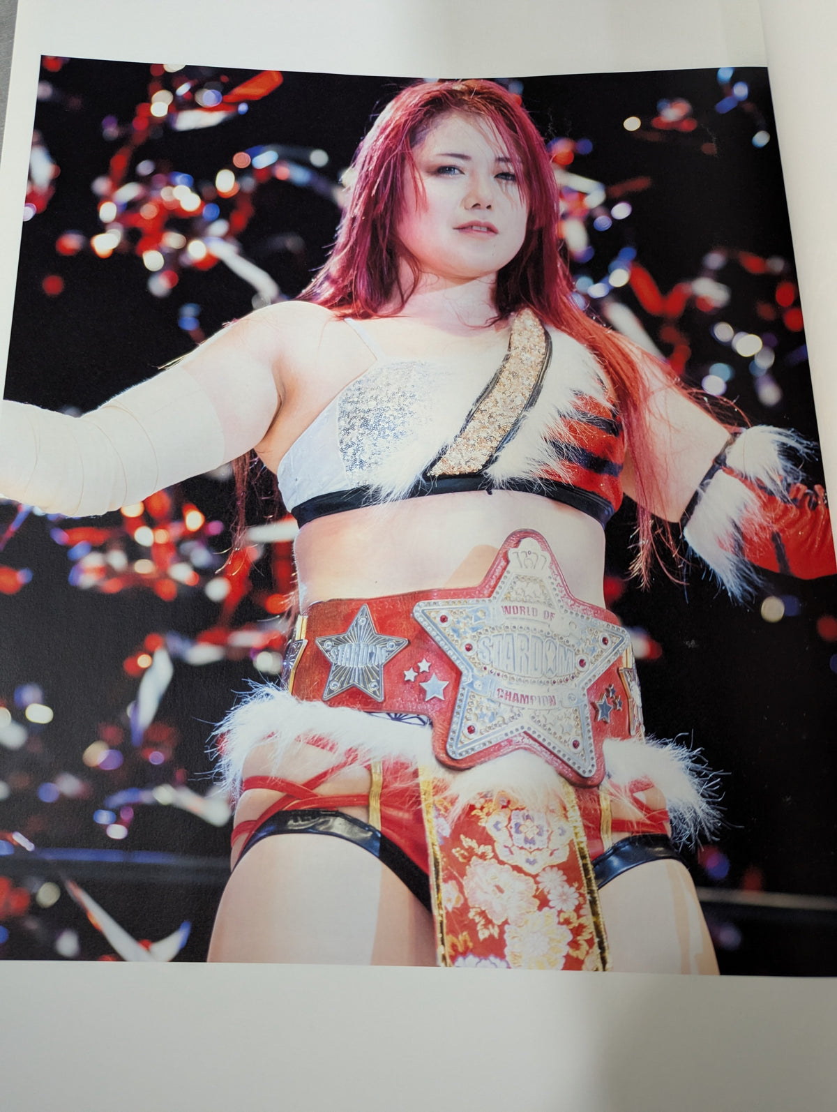STARDOM DREAM QUEENDOM 2023 東京・両国国技館大会 写真アルバム
