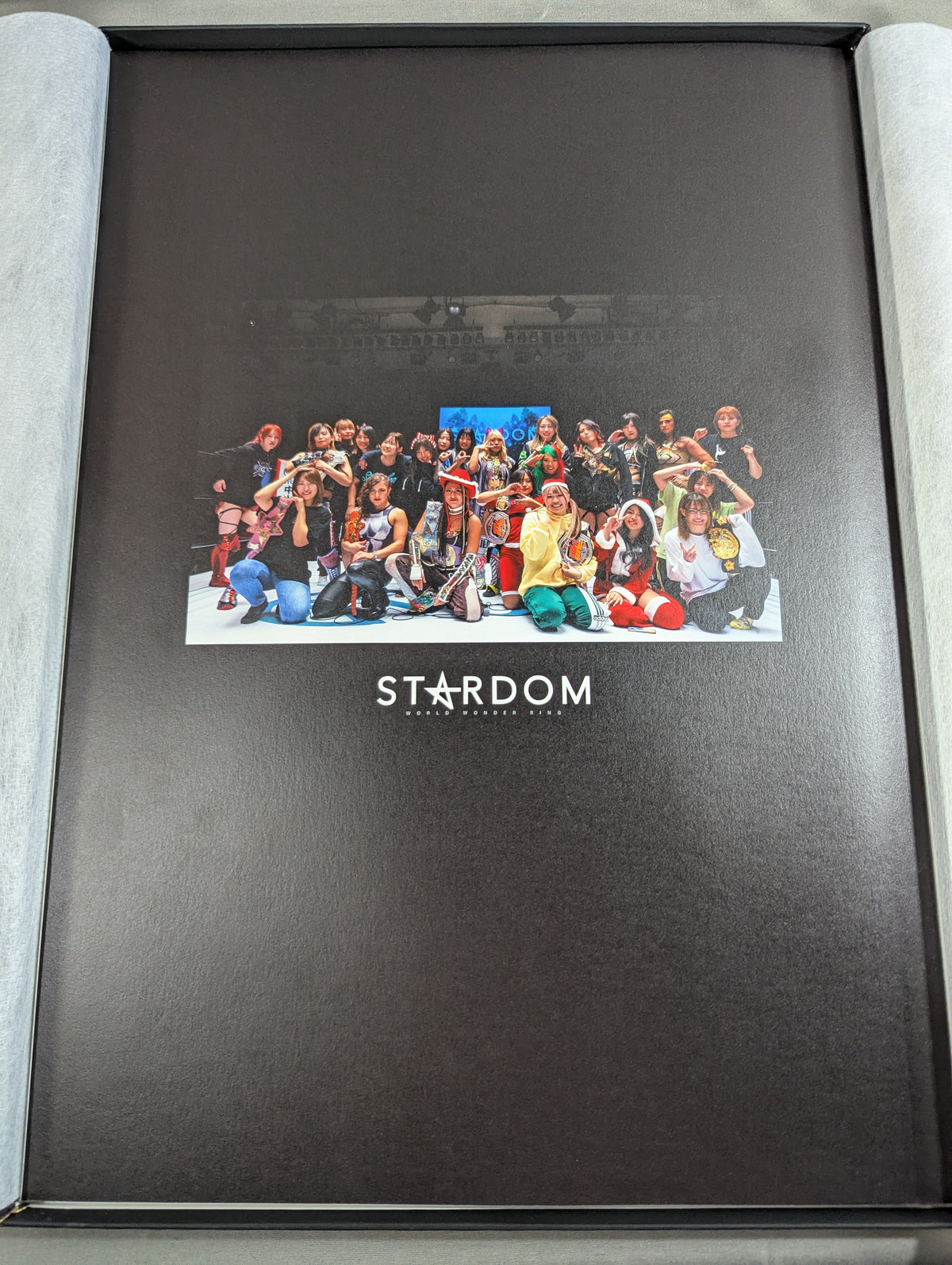 STARDOM DREAM QUEENDOM 2023 東京・両国国技館大会 写真アルバム