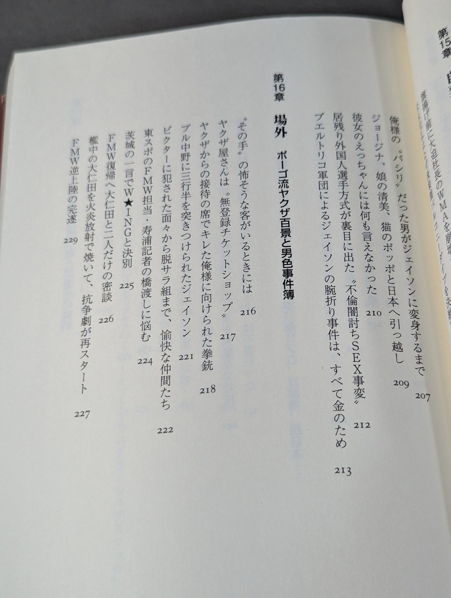 ある悪役レスラーの懺悔