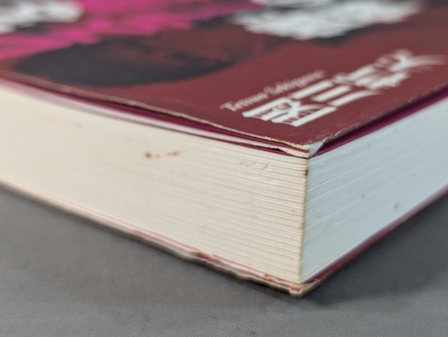 ある悪役レスラーの懺悔