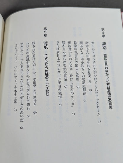 ある悪役レスラーの懺悔